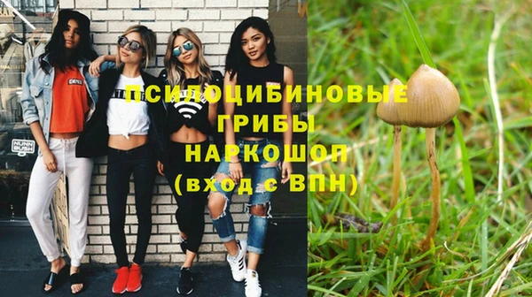 таблы Алексин