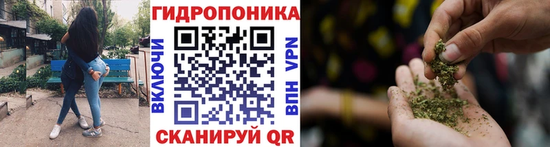 кракен онион  Кизел  Конопля THC 21% 